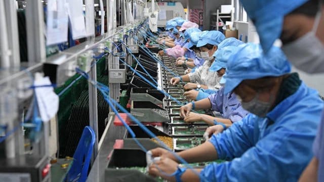 电子厂四不干：一条链路，四种苦工