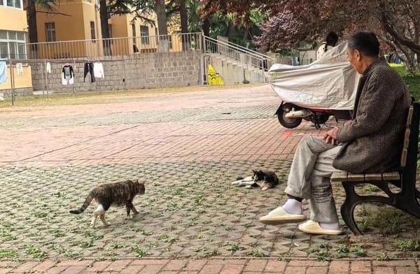 一位宿管大爷的离世与一所大学的冷漠